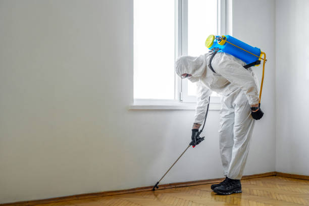 Professional Pest Control in Silver Springs, NV