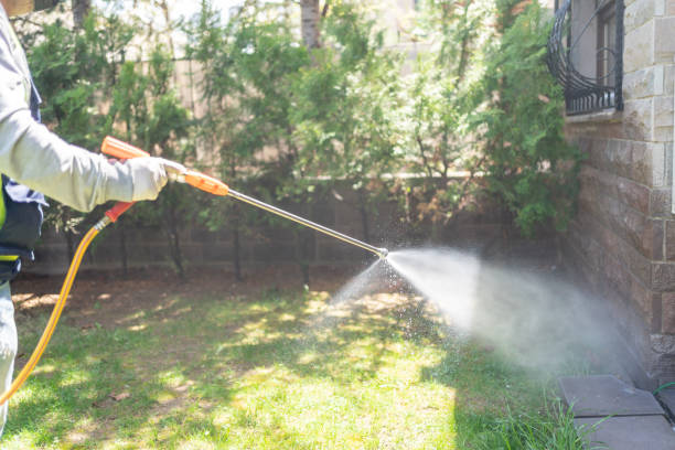 Silver Springs, NV Pest Control Company