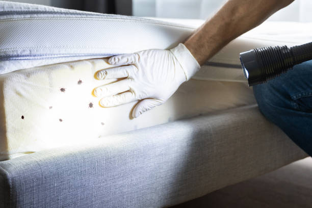 Best Pest Control Near Me  in Silver Springs, NV
